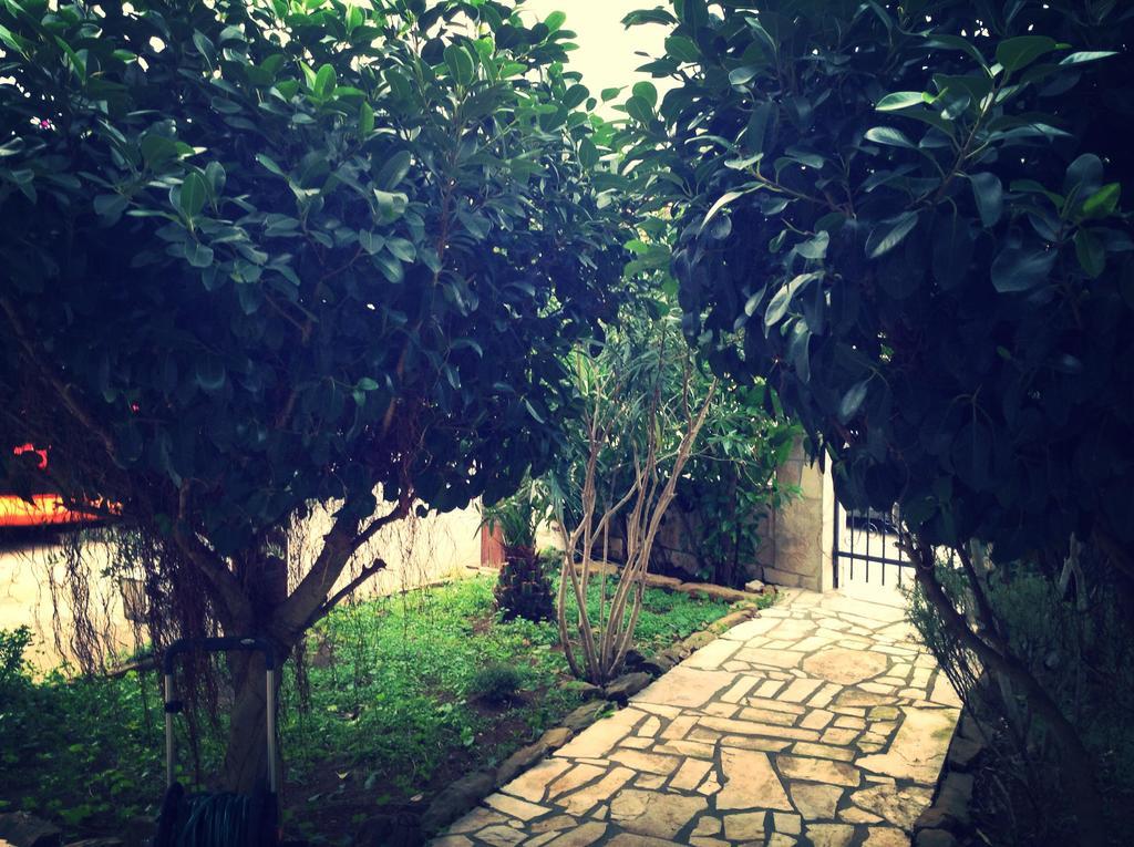 Hotel Tivat Star Exterior foto